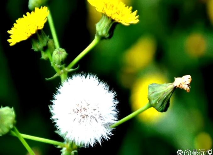 自律者的30句励志短句：越自律，越幸运